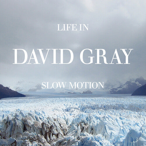 David Gray- Life in Slow Motion (20th Anniversary Edition) (Blue Vinyl) { VINYL LP }