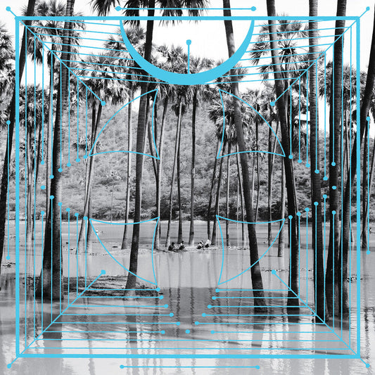 Four Tet- Pink [Vinyl] { VINYL LP }