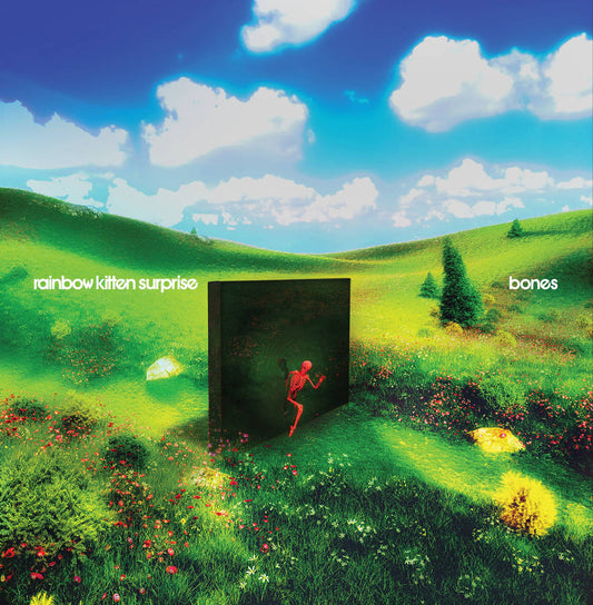 Rainbow Kitten Surprise- bones { VINYL LP }