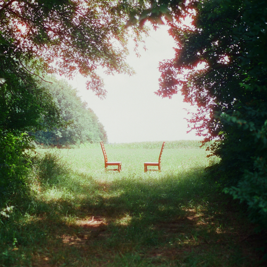 Ratboys- Singin' to an Empty Chair [2LP] { VINYL LP }