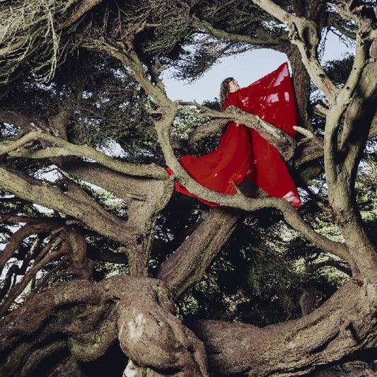 Hannah Frances- Nested In Tangles [Colored Vinyl] (Red) { VINYL LP }