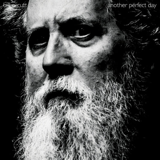 Bill Orcutt- Another Perfect Day { VINYL LP }