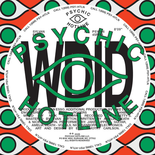 Sylvan Esso- WDID b/w KEEP ON [12" Single] { VINYL LP }