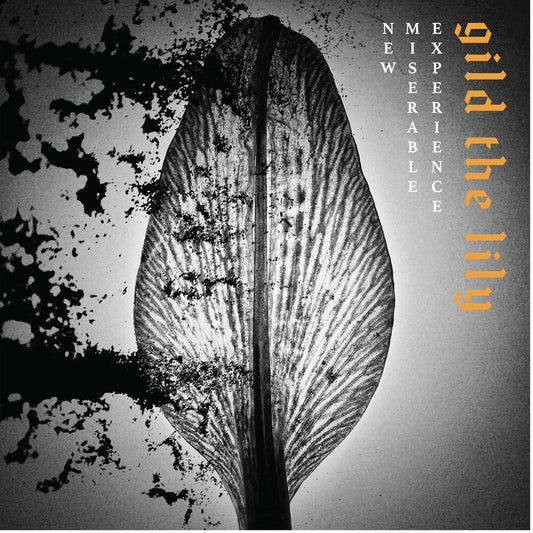 New Miserable Experience- Gild The Lily { VINYL LP }