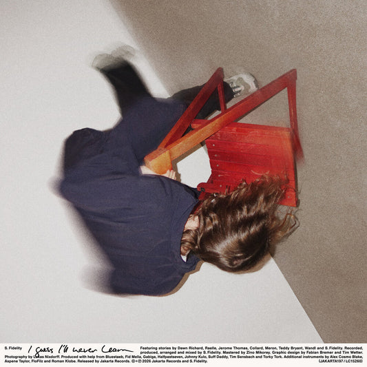 S Fidelity .- Guess I'll Never Learn { VINYL LP }