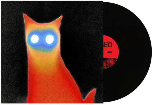 Basement- Wired { VINYL LP }