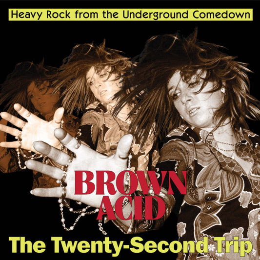 Brown Acid - Twenty-Second Trip / Various- Brown Acid - The Twenty-Second Trip (Various Artists) { VINYL LP }