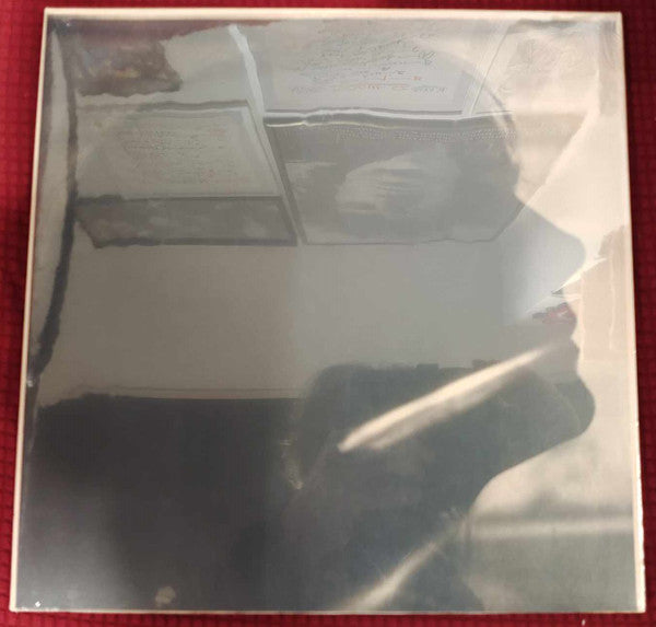 Sarah Blasko- I Just Need To Conquer This Mountain { VINYL LP }