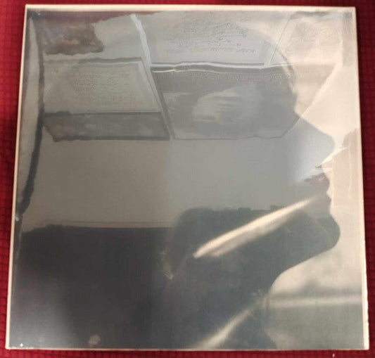 Sarah Blasko- I Just Need To Conquer This Mountain { VINYL LP }