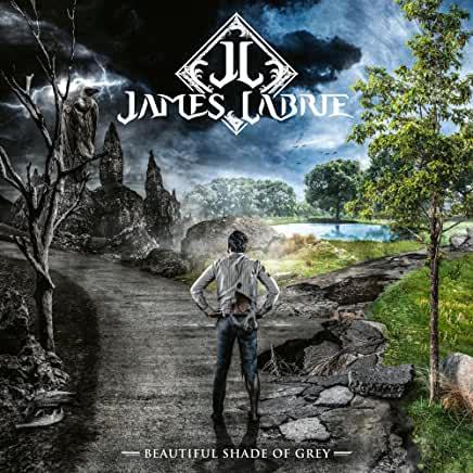 James LaBrie (Dream Theater)-  Beautiful Shade Of Grey { VINYL LP }
