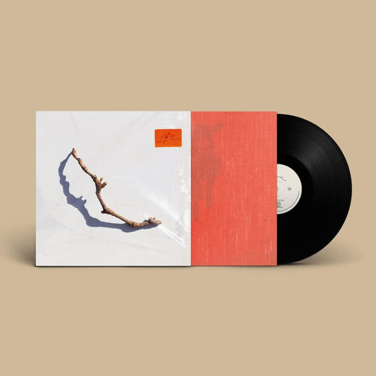 PJ Harvey- I Inside the Old Year Dying { VINYL LP }
